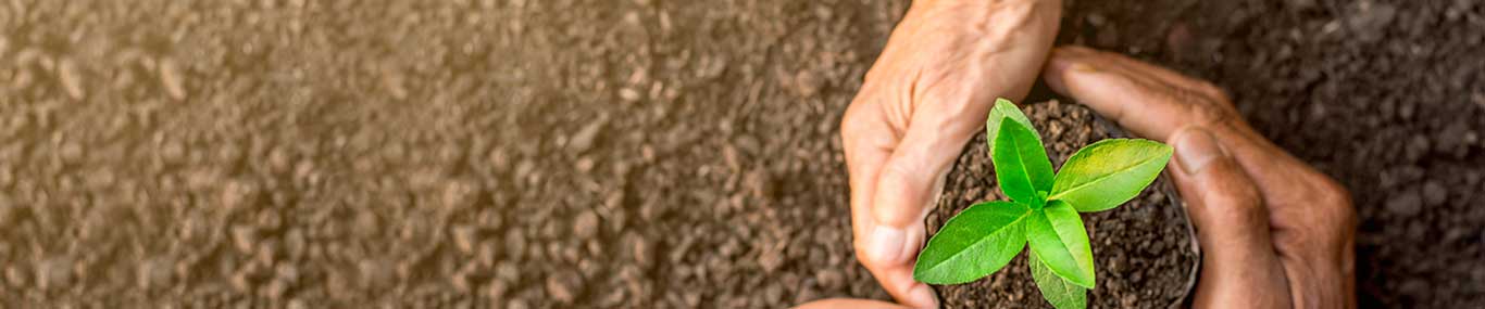 cooperative-information-officer