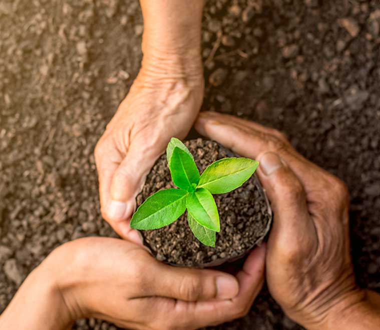 cooperative-information-officer