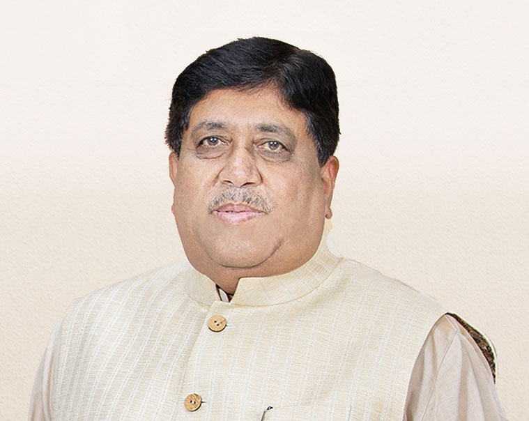 Mr. Dileep Sanghani